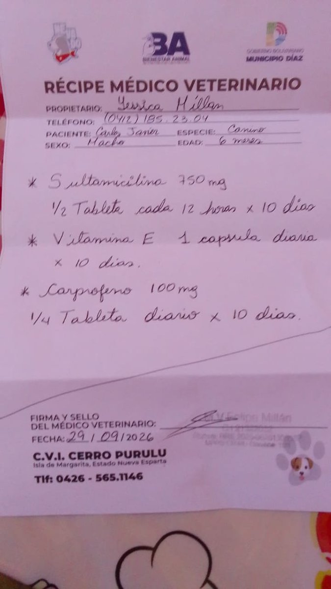 MargaritaPets's tweet photo. El cachorro quemado de San Juan necesita con urgencia estos medicamentos y padrinos para ser hospitalizado en la Clínica Campos Pets en Porlamar, #islademargarita https://t.co/Xnb0GjzoJS