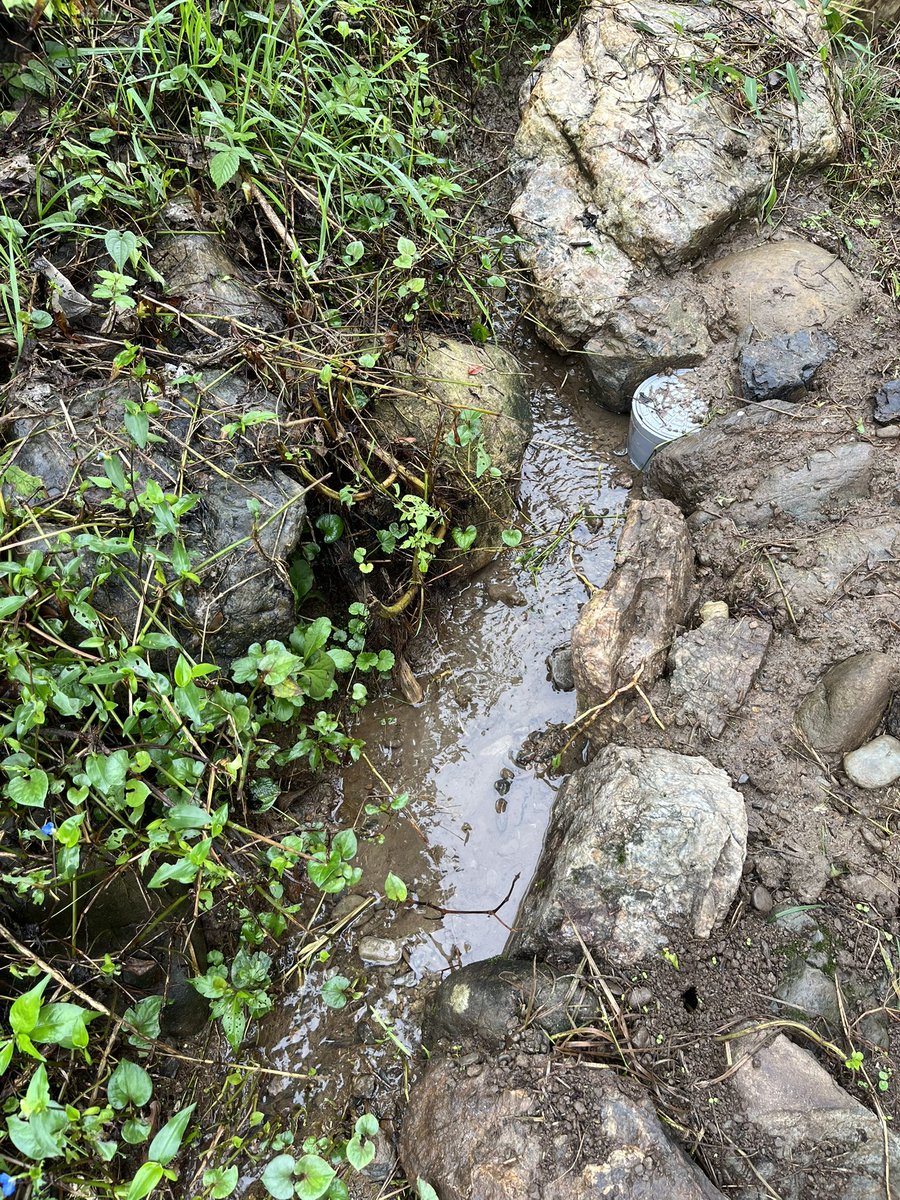 kahapipi's tweet photo. 雨続きで玄関下りたら水浸しなので岩と泥で治水工事した👷(まだちょっと漏れてる) https://t.co/OWBPIrc15n