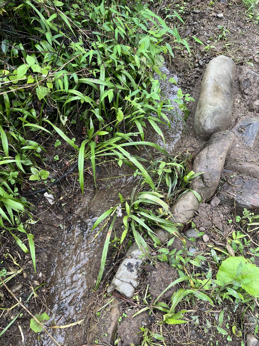 kahapipi's tweet photo. 雨続きで玄関下りたら水浸しなので岩と泥で治水工事した👷(まだちょっと漏れてる) https://t.co/OWBPIrc15n