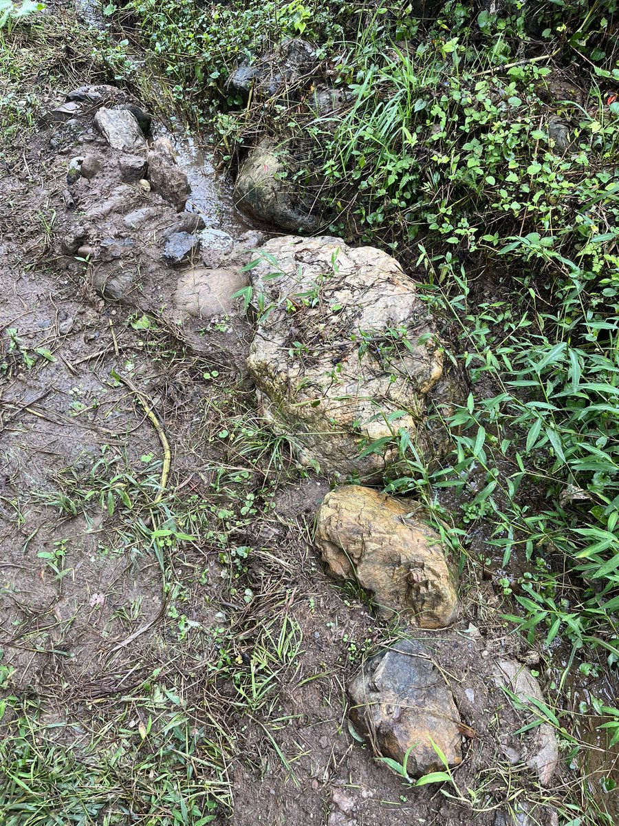 kahapipi's tweet photo. 雨続きで玄関下りたら水浸しなので岩と泥で治水工事した👷(まだちょっと漏れてる) https://t.co/OWBPIrc15n