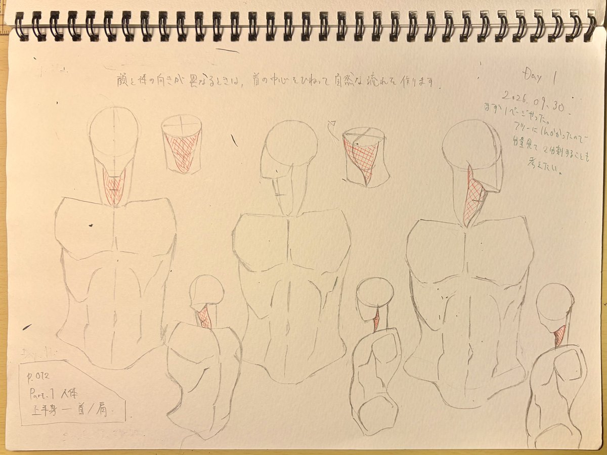 Sohcodium_D's tweet photo. #人体ドローイングのコツ390
とりあえずやり始めたらこっちのもんだ！ということで1日目
手本に比べて若干横に潰しがちなのもちょっと気をつけねばならんなあと思っている https://t.co/iRNYe9AZXU