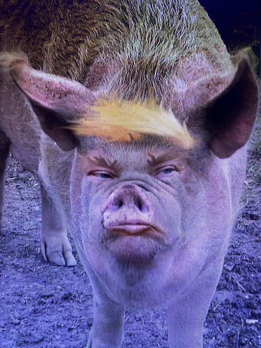 Cjmayrix's tweet photo. Trump you fat worthless pig you have millions and millions of fucking enemies someone’s gonna get you fat boy someone’s gonna give you that slug guaranteed I will be jumping for joy, laughing, loving it https://t.co/yqEzLw4C11