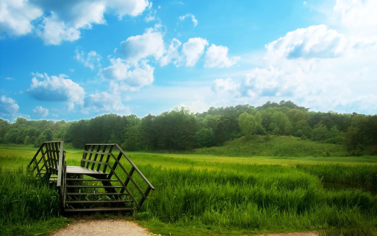 SoundBasspq9's tweet photo. A worn path stays put. 🌾. Certain air smells like childhood. 🔥 https://t.co/HfkhmX8kAE