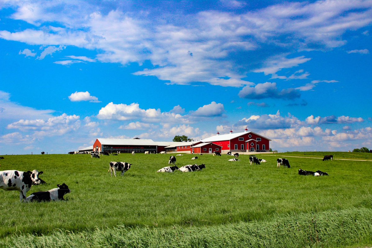 PeteMoris's tweet photo. Save Family Farms 🐄

Rural America is being targeted by private equity, energy interests &amp; a variety of other threats! 

Via @dailyyonder 

https://t.co/bDYqYpNrXa https://t.co/OPetJh9kH1