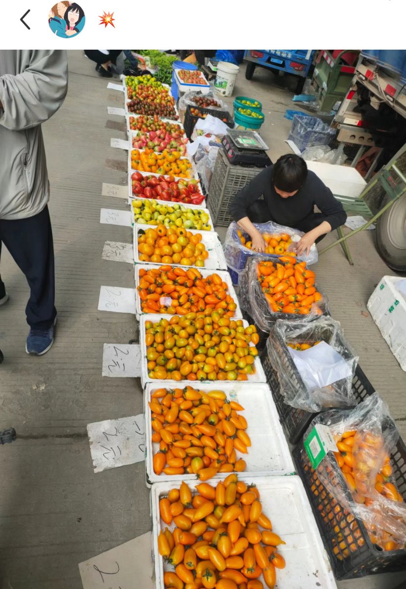 brav_atlas2_4bf's tweet photo. [Persimmon, just in! Crisp Chinese artichokes too – fresh finds from the market today ] https://t.co/tUfYKyi94e