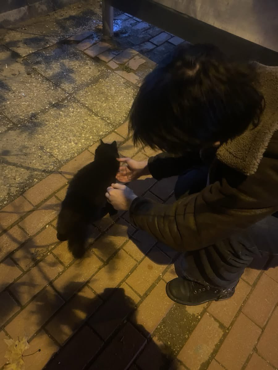 c4rbonar4b0y's tweet photo. eeeeeeeeh lo de combinar a estos dos me tiene dando volteretas https://t.co/8IXBforaFU