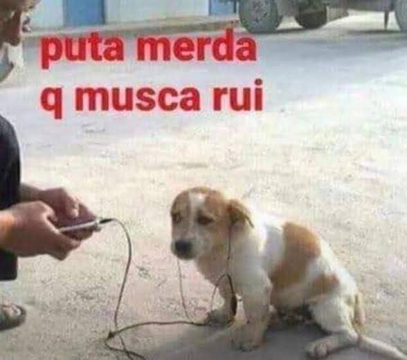 sccpcohen's tweet photo. Vou criar o HC aqui que com os killer original no tributo, o Aguiar ia implicar com a música dos Psikolera falando que música atual é tudo merda e bom mesmo era antigamente https://t.co/hUcrqKMHJ6