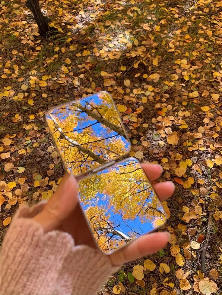 purelivn's tweet photo. fall 🍂 https://t.co/zHHzesQGGH