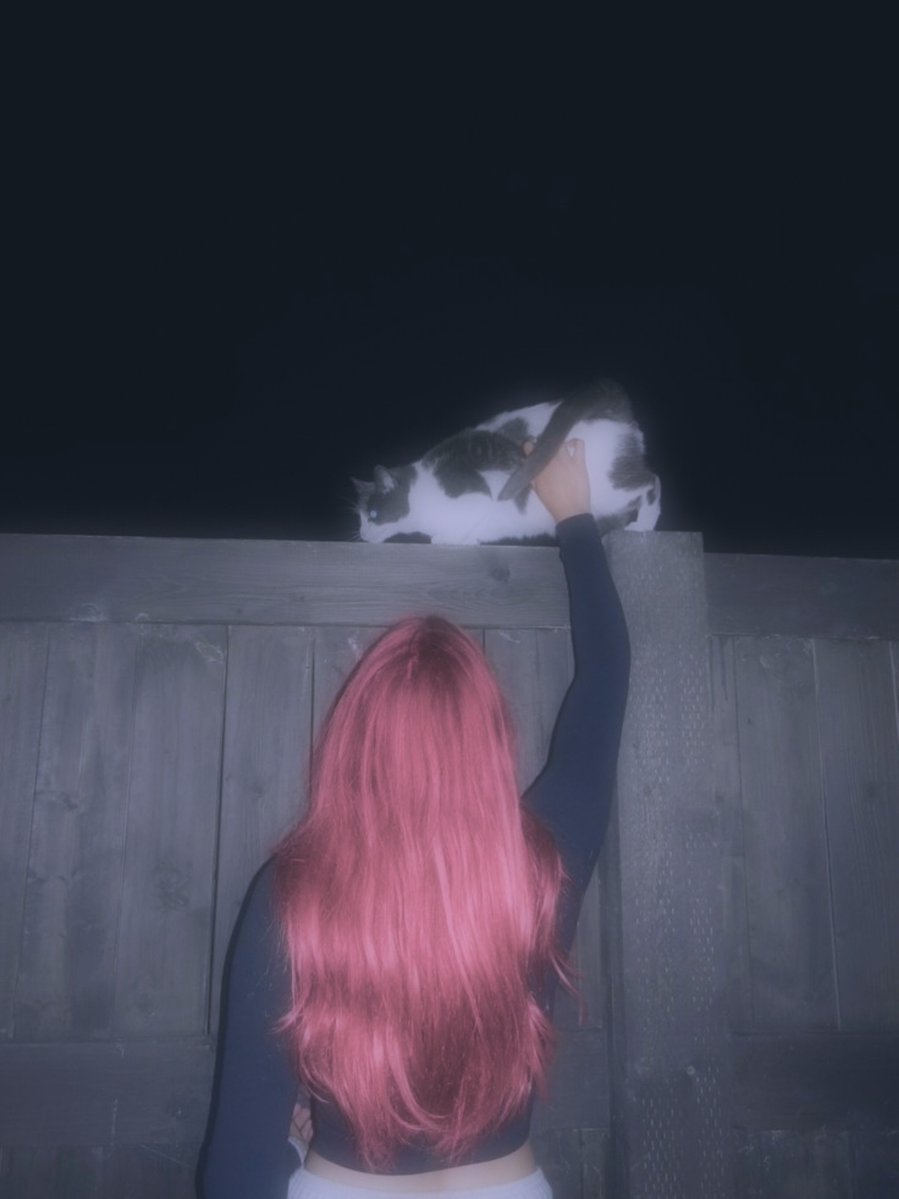 Vevesweet_'s tweet photo. Quien lo diría, que unos gatos nos unirían 💜🐈

(El pirulín me hizo la foto) https://t.co/YXqQPRHuo1