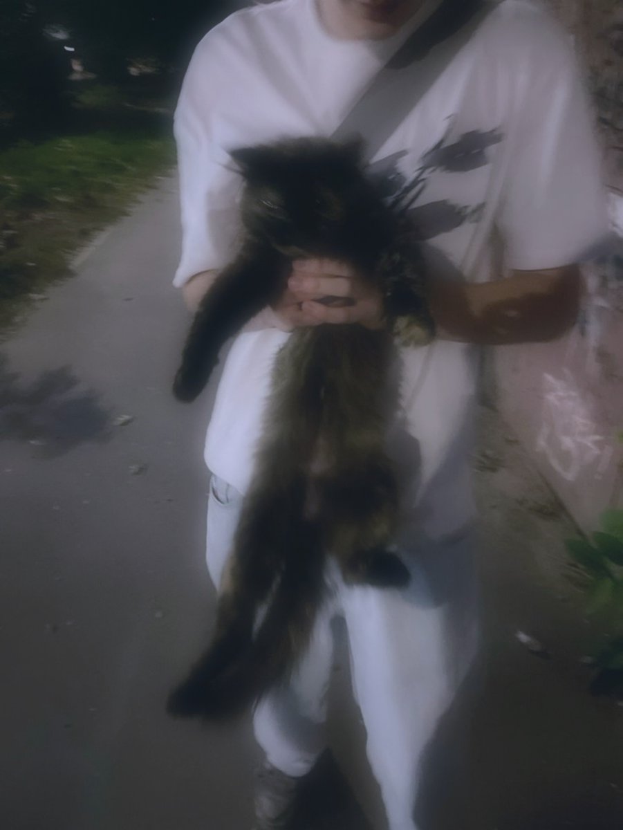 Vevesweet_'s tweet photo. Quien lo diría, que unos gatos nos unirían 💜🐈

(El pirulín me hizo la foto) https://t.co/YXqQPRHuo1