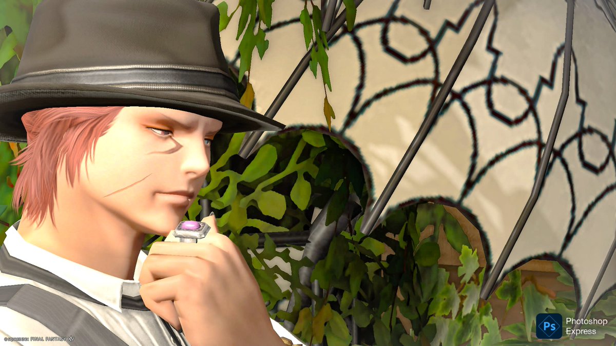mimikue_game's tweet photo. おはようございます。
雨ですねぇ

そろそろお日様が恋しいです。
 #おはミコ
 #FF14
 #FF14_ss https://t.co/HaqHfvx0Ma