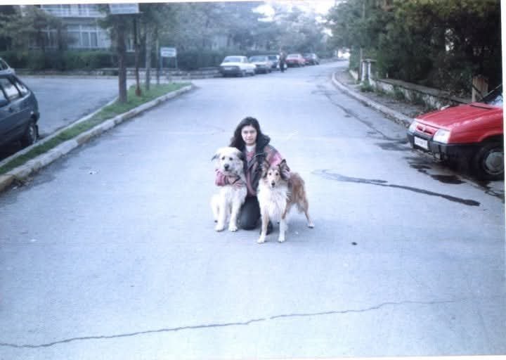 kitapcierdem's tweet photo. Bahçelievler Örnek Sitesi sene 1993
Nazmi amcanın köpekleri Lucky ve Lassie. Ne kızdırırdık Lucky'i ne kovalardı bizi. Lassie acayip cana yakın bir köpekti. Az mı gezmeye çıkardım onu. Hey gidi günler. https://t.co/ku4nfCS8Cj