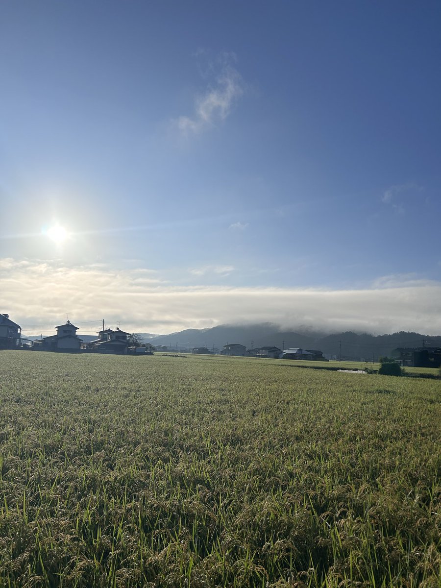 eSPA_Lab's tweet photo. 昨日の雨から一変、澄み渡る岡山の青空☀️
やっぱり岡山は晴天が似合います。
懐かしさと熱気冷めやらぬまま帰路へ🚌
プロダクトの社会実���や資金調達など、事業の等身大の背丈に合わせた筋道がクリアに見えてきてワクワクが止まりません。
いただいた素晴らしい出会いと、スクラム」組んで前進です🤝 https://t.co/ucR7Mc2v61