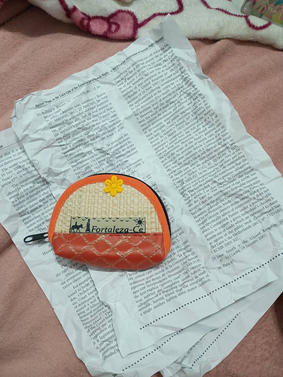 dentedepinscher's tweet photo. minha irmã comprou uma carteirinha na FEIRINHA DE PRAIA NO CEARÁ e os papeis de enchimento que vieram dentro dela são nada mais nada menos que um livro em inglês discutindo a declaração universal de direitos humanos https://t.co/JOHxTHNjUv