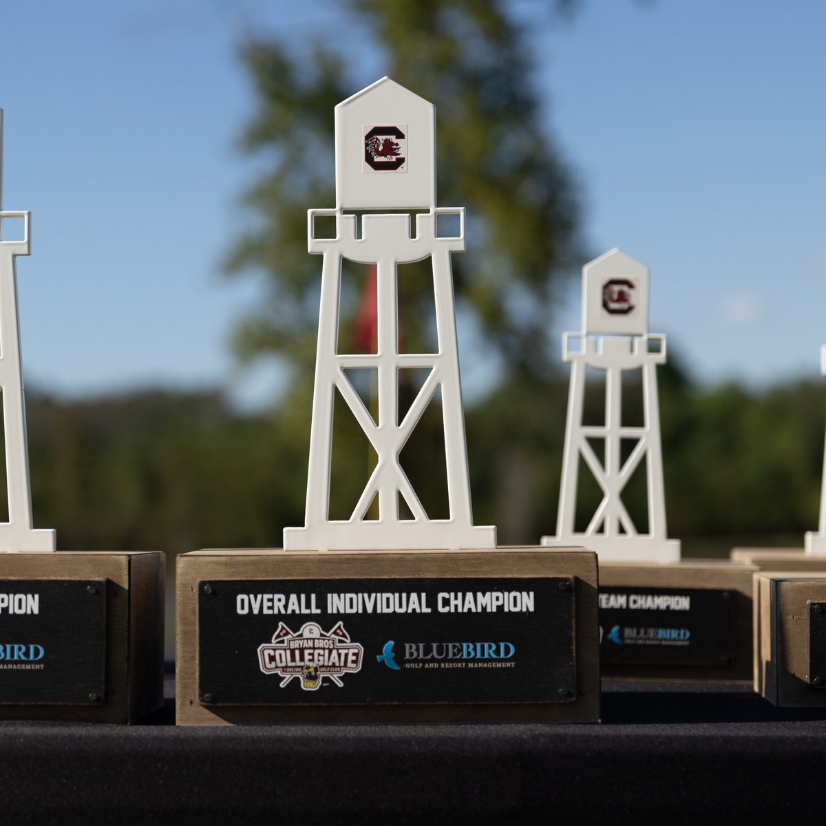 LibertyGolf's tweet photo. Austin Krahn is all 😃 after today's win 👏
Thanks for the winning photos @GamecockMGolf 📸
#CommitToSomethingSpecial https://t.co/Ry2UQCc0N7