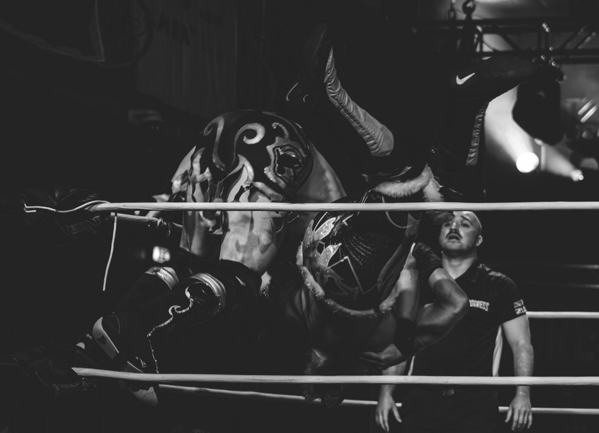AAPnaphoto's tweet photo. Kid Lykos II hits a Spanish fly on Daz Black.

27/09/26

#progresswrestling #KidLykosii #spanishfly #dazblack https://t.co/Iewy5hxATc