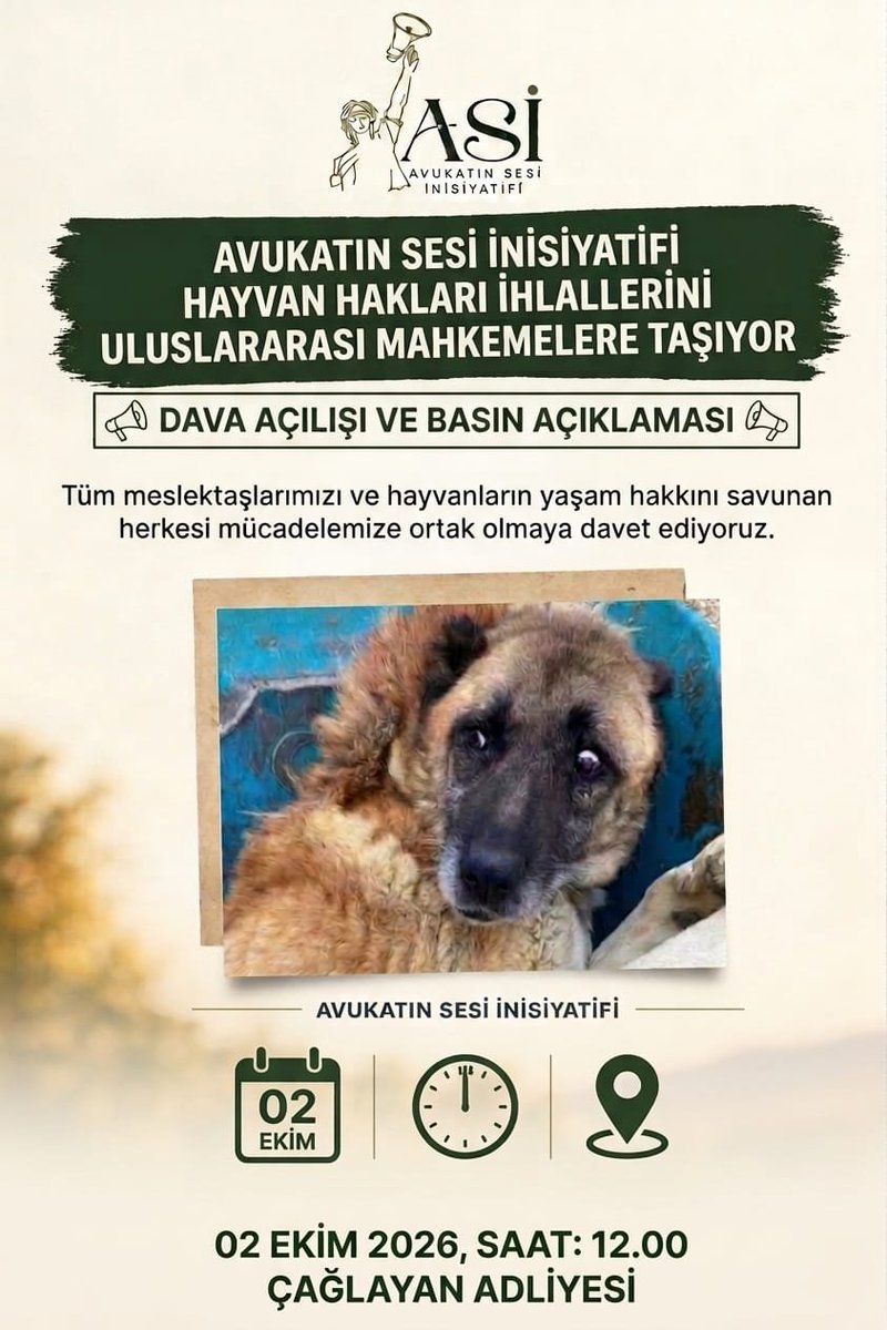 Av_Nurmese's tweet photo. AVUKATLAR OLARAK HAYVAN HAKLARI İHLALLERİNİ ULUSLARARASI YARGIYA TAŞIYORUZ 

 Tüm gönüllüleri, sivil toplum kuruluşlarını ve meslektaşlarımızı bekliyoruz.
📍 Yer: İstanbul Çağlayan Adliyesi Önü
📅 Tarih: 2 Ekim Cuma
⏰ Saat: 12.00 https://t.co/CeurMAm0pN