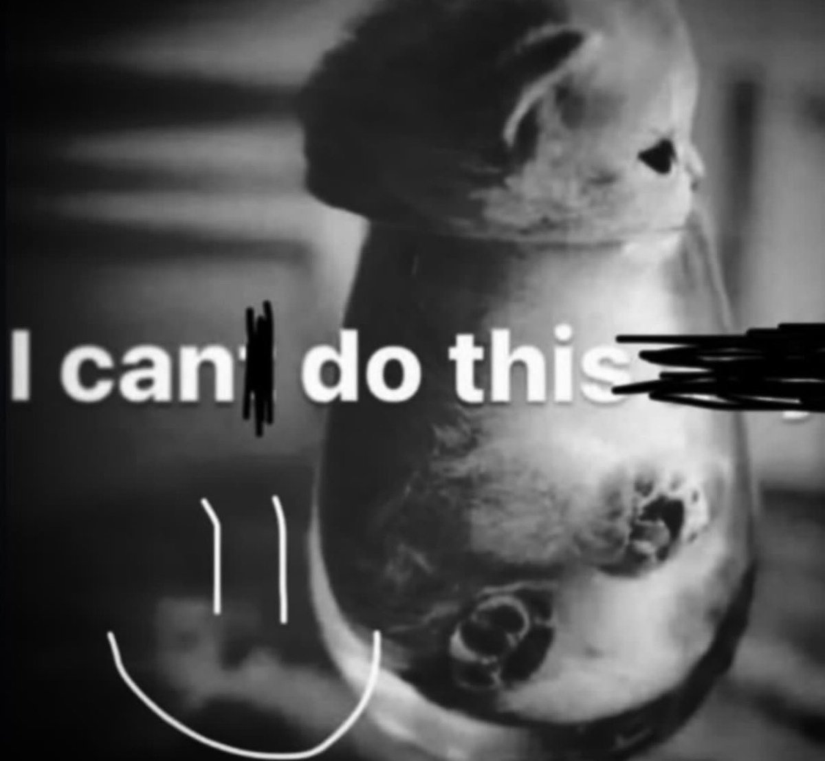 fruitpibble's tweet photo. https://t.co/x6fv1gRVEe