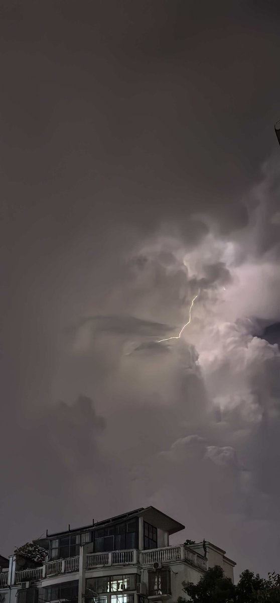 calm_beaco_46's tweet photo. I'm speechless, my stomach feels queasy—this thunderous roar is way too much! https://t.co/sxQIBhOP2H