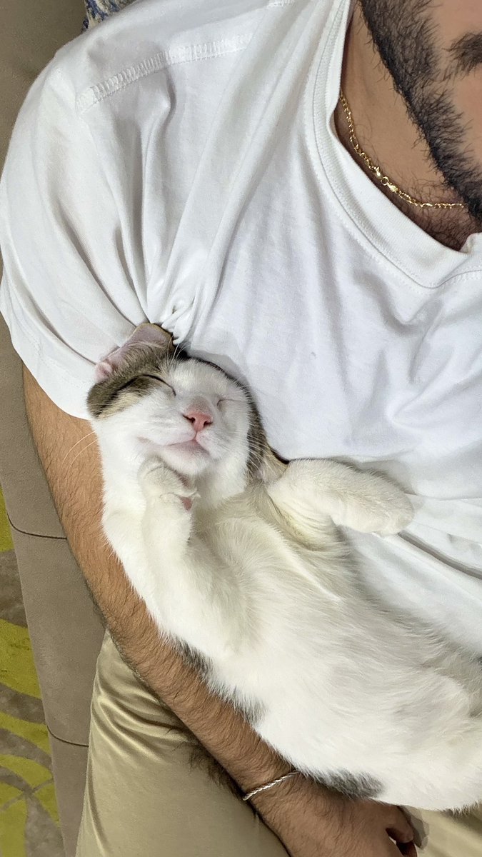 anlcrrr's tweet photo. Ev modumuz😴 https://t.co/s7WJ92edXZ