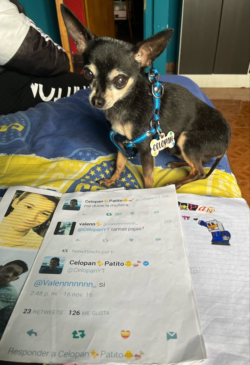 Valennnnnnn_'s tweet photo. Recordando viejos tiempos con celopan el perro🥺😂
@CelopanYT https://t.co/Yu4Vbw7s9g