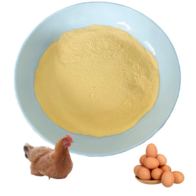 FCBlmy's tweet photo. Boost flock performance with Poultry Vitamin Premix Powder 🐔 A handy feed supplement for broilers and layers, supporting egg production and overall nutrition. Explore wholesale options today! #Poultry #FeedSupplement https://t.co/mB0uyGqCvG https://t.co/H2wO3RqnwG
