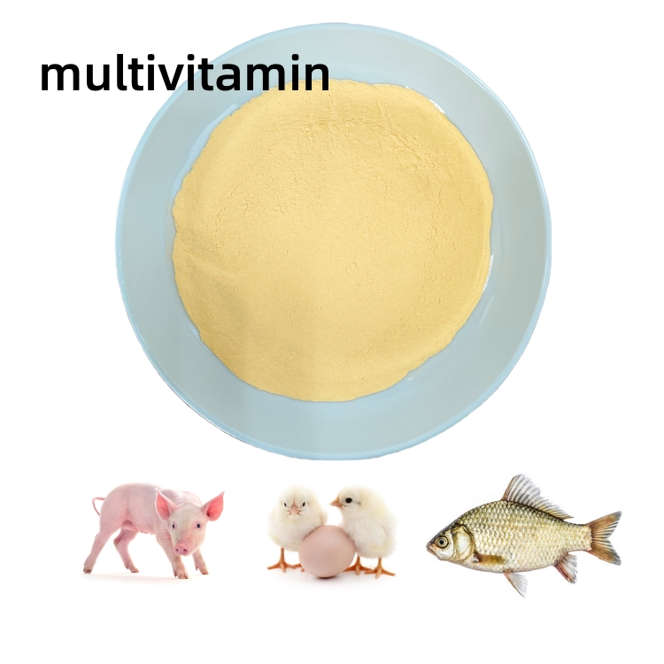 FCBlmy's tweet photo. Boost flock performance with Poultry Vitamin Premix Powder 🐔 A handy feed supplement for broilers and layers, supporting egg production and overall nutrition. Explore wholesale options today! #Poultry #FeedSupplement https://t.co/mB0uyGqCvG https://t.co/H2wO3RqnwG