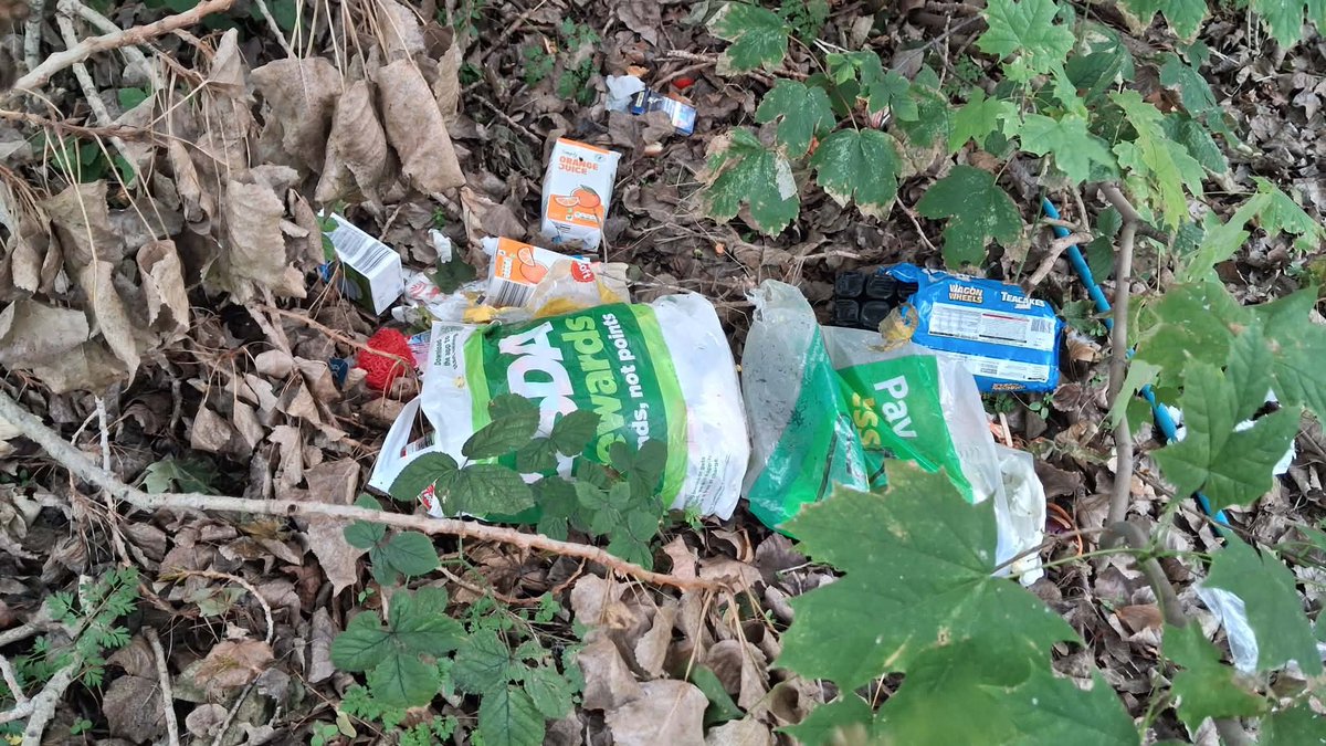 Litterwatch1's tweet photo. Welcome home from holiday... to fly-tipped rubbish in the coppice.
Martin is an absolute superstar for all his hard work litter-picking, but he shouldn't have to clean up illegal dumping! Rightly reported as fly-tipping. Spot it? Report it on My Sandwell. #flytipping #sandwell https://t.co/09O4qZsfvS