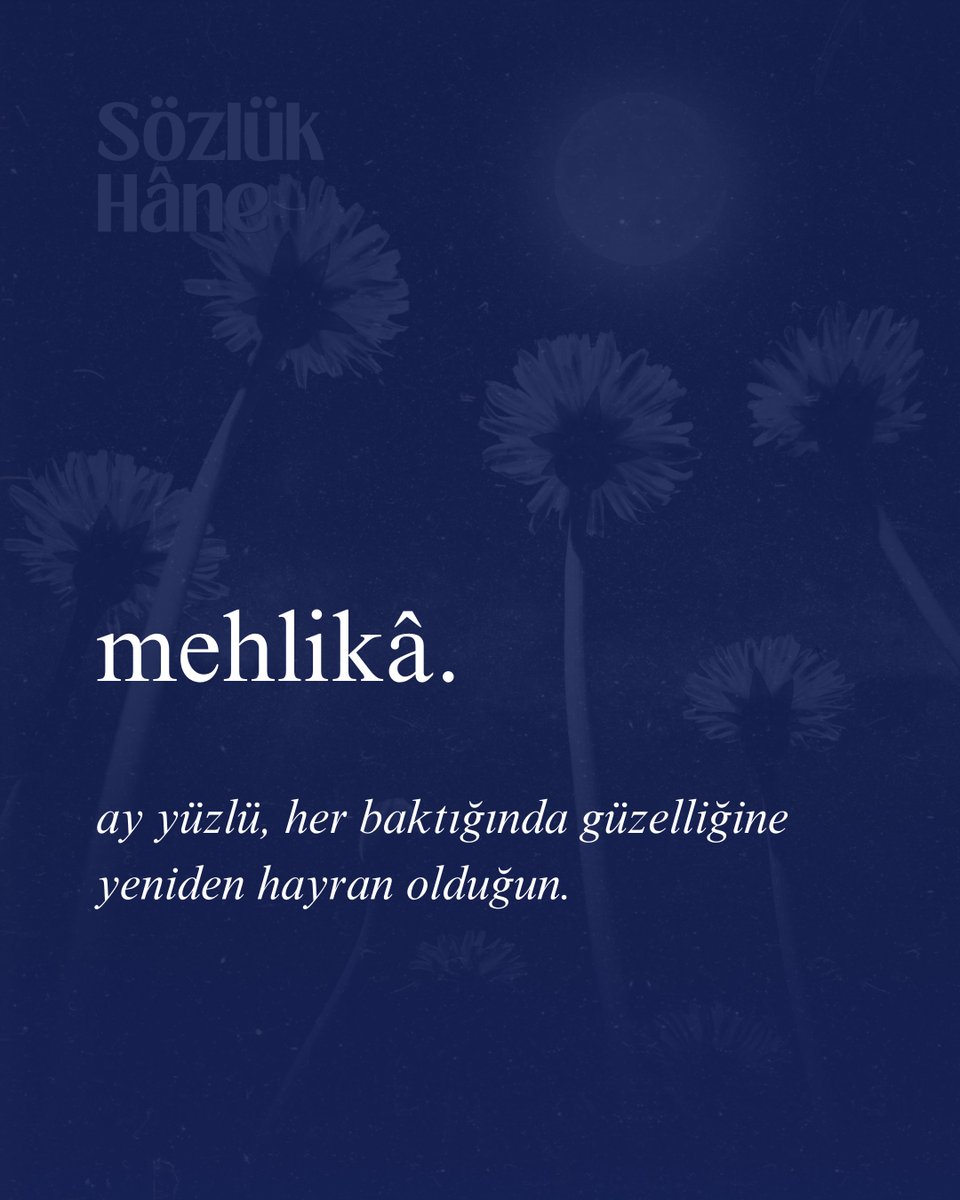 sozlukhane's tweet photo. https://t.co/SHgj5mD6oY