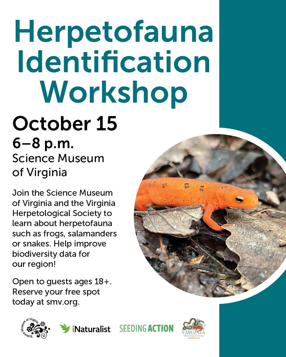 ScienceMusofVA's tweet photo. FREE workshop! 

Use your evening to become a participatory scientist, engaging in scientific discovery and helping increase our knowledge about reptiles and amphibians in our region. 

Registation in now open on our website. https://t.co/dENjZIBwbR