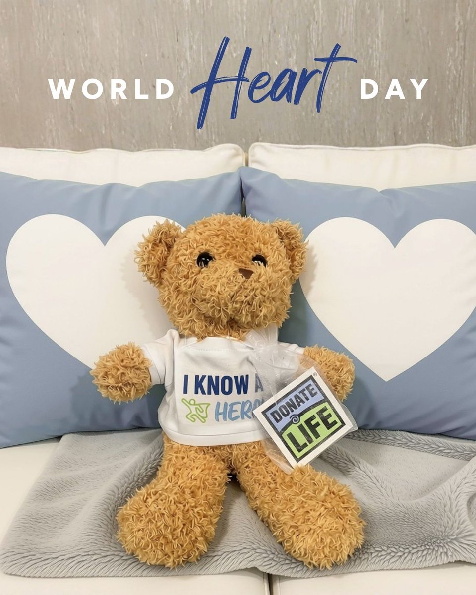 NetworkForHope_'s tweet photo. On World Heart Day, we’re grateful for Debbie and Rick Wieland, who created the Wieland Heartbeat Bear program nearly 10 years ago in memory of their son and donor hero, Ricky Wieland. 💚

Each bear holds something deeply personal: a recording of a loved one’s heartbeat. In 2025 alone, our Family Support team delivered 750 Wieland Heartbeat Bears to donor families, giving them a way to hear that heartbeat again and keep it close.

Nearly a decade later, Ricky’s legacy continues with every beat. 💙