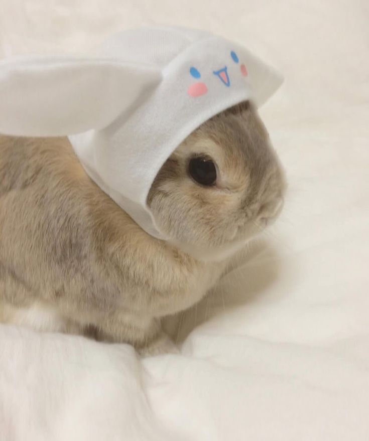 bunnywahony's tweet photo. i think i posted the same picture twice....#boftwt https://t.co/AMGX9kbEoU