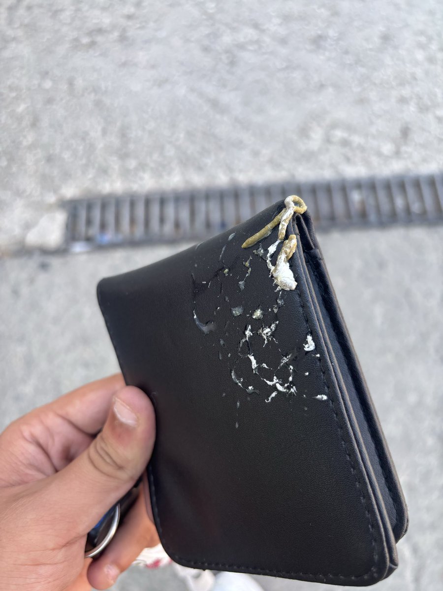 jantrobespierre's tweet photo. atm’den para çekerken kuş cüzdanıma sıçtı amk bayağı da okkalı sıçtı

bir yerden sağlam para gelebilir diye mobil bankacılığı yokluyom dk başı https://t.co/QETlTsViP3