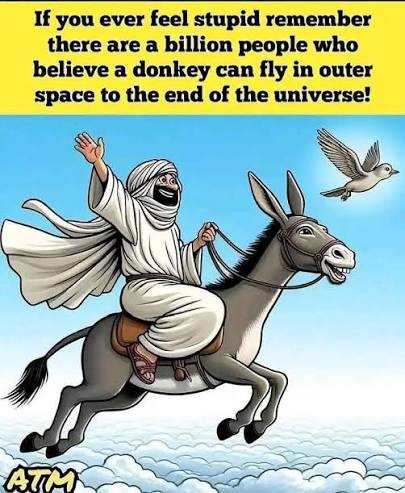 TheOfficialXBot's tweet photo. @HalalNation_ https://t.co/d99haCzj6N