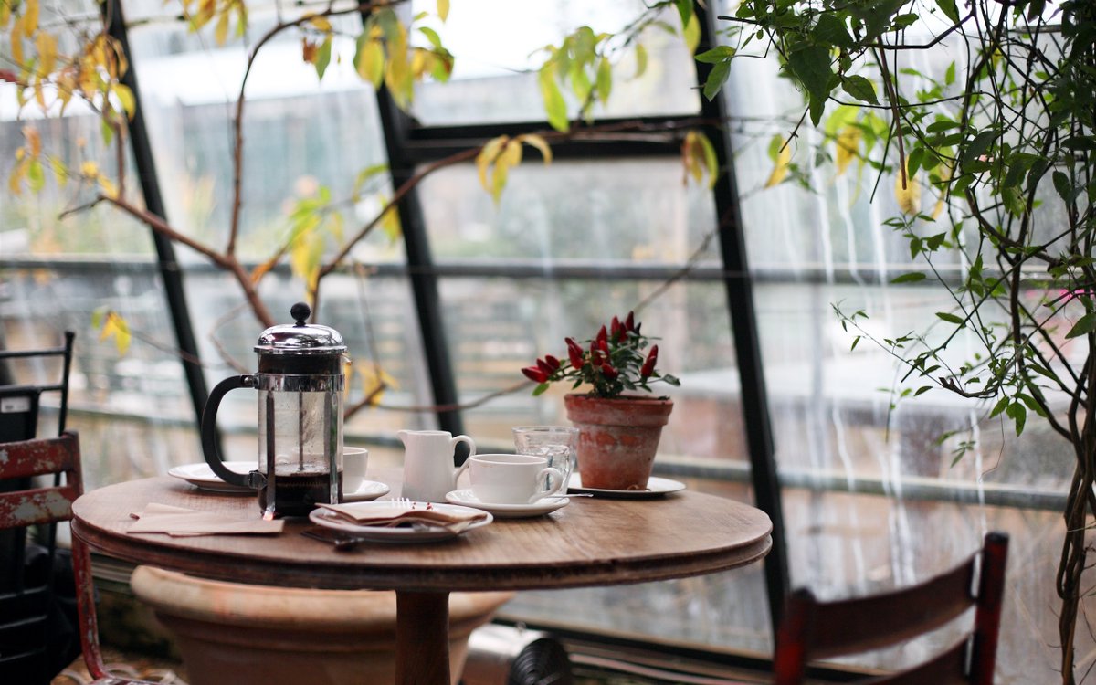 MerissaKor1hy's tweet photo. Momento de descanso con café + vista linda, nada más hoy ， https://t.co/KKdcK8FXnz