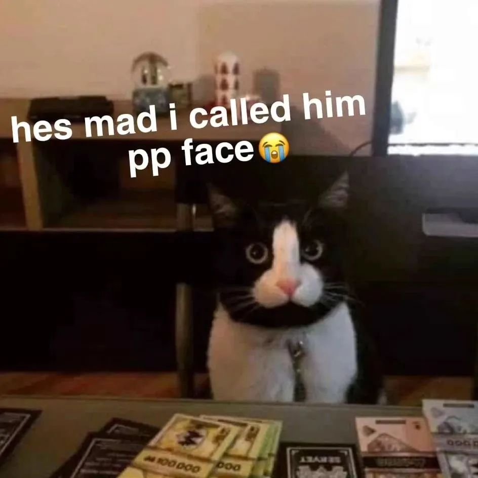 PunchingCat's tweet photo. https://t.co/wb88ueD8Y1