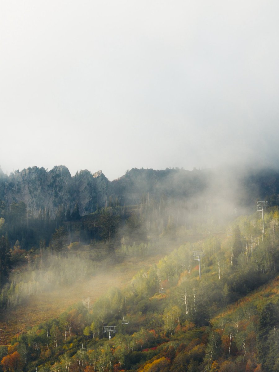 SnowbasinResort's tweet photo. This morning’s moody Fall colors🍂🍁💙

Autumn leaves will in full force this weekend! Bake-in those plans now to come up to see them for yourselves! https://t.co/IpDeCml6jS