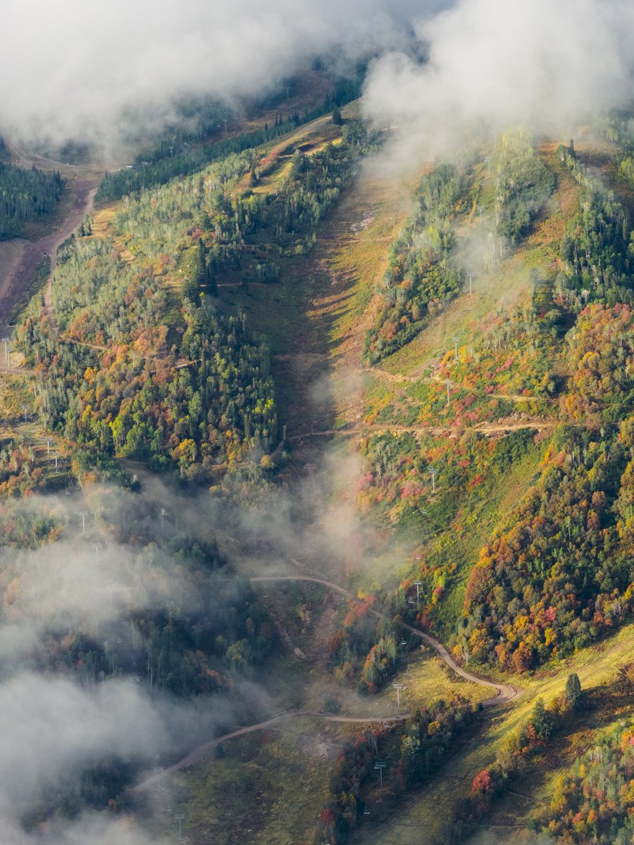 SnowbasinResort's tweet photo. This morning’s moody Fall colors🍂🍁💙

Autumn leaves will in full force this weekend! Bake-in those plans now to come up to see them for yourselves! https://t.co/IpDeCml6jS