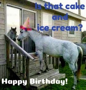 horseimage's tweet photo. horse birthday greetings you can send to your friends and family https://t.co/SgBw8nJWFa