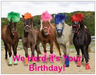horseimage's tweet photo. horse birthday greetings you can send to your friends and family https://t.co/SgBw8nJWFa