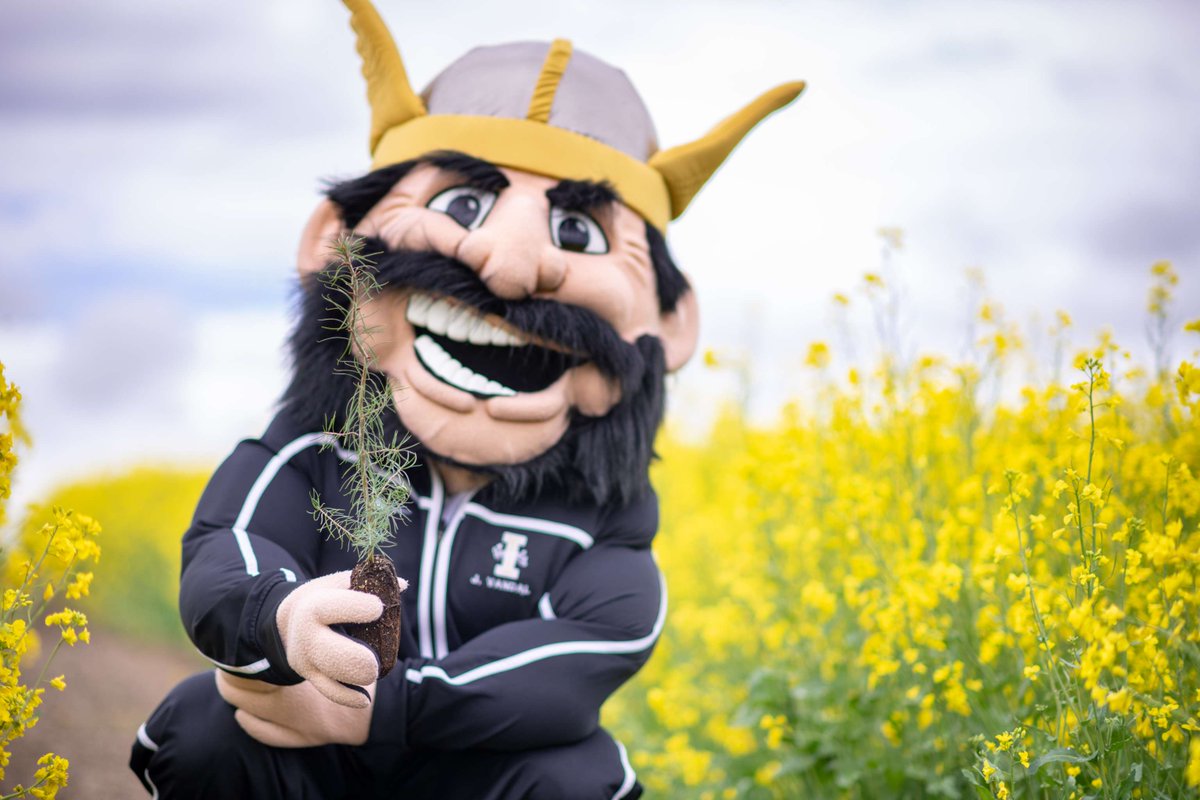 uidaho's tweet photo. We helped shape the Carnegie Elective Classification for Sustainability, and then became one of first 14 to earn the award. Our 100% score secured us as a Top Performer in Curriculum in the 2026 Sustainable Campus Index. #GoVandals https://t.co/QH63rCVnDi