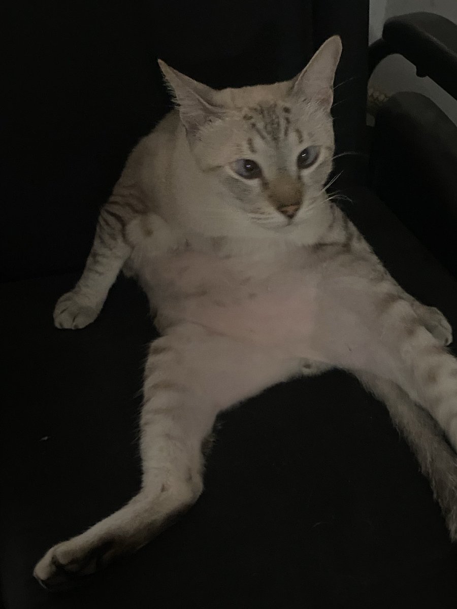 kittythemedlife's tweet photo. https://t.co/RppaFwy445
