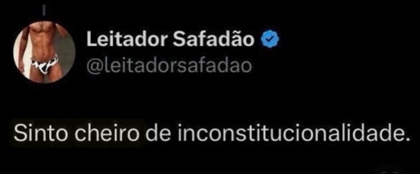 wvw_wes's tweet photo. ele igual o leitador safadão sentindo cheiro de inconstitucionalidade nas eleições de 2022 https://t.co/Ik95cfay34