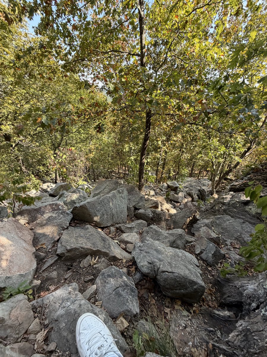 oospeckG's tweet photo. First time hiking and decided to take the hard way not to fun https://t.co/lDEK6CNVgI