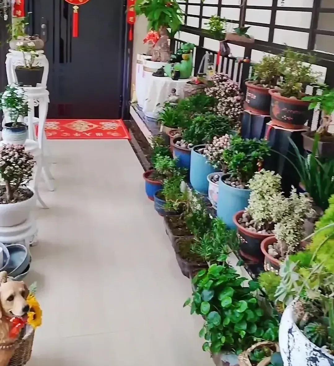 YurikoBlaim3fu's tweet photo. Hola vecinos! Este sábado 10 a las 16h organizamos un intercambio de plantas en el portal 3, traed vuestras plántulas, recibís otras nuevas y charlamos un rato https://t.co/KMGJj3TYUJ