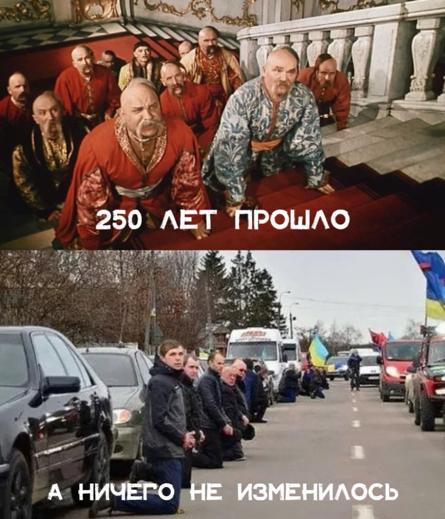sergeenko_i's tweet photo. https://t.co/fUroECEjzG