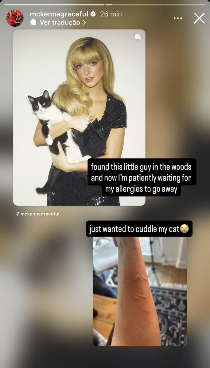 acervograce's tweet photo. Mckenna Grace via Instagram Stories.

“encontrei esse carinha no meio do mato e agora tô pacientemente esperando as minhas alergias passarem”
“eu só queria abraçar o meu gato 😭” https://t.co/ON34gKrnPG