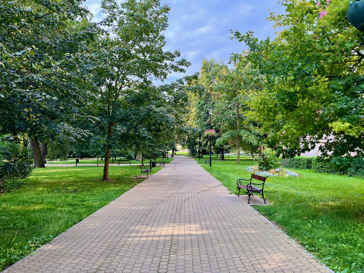 margyMaynafs1's tweet photo. Qué día tan precioso! El sol brilla y hace un calorcito ideal para caminar por el parque. https://t.co/0ejDVDAdW7