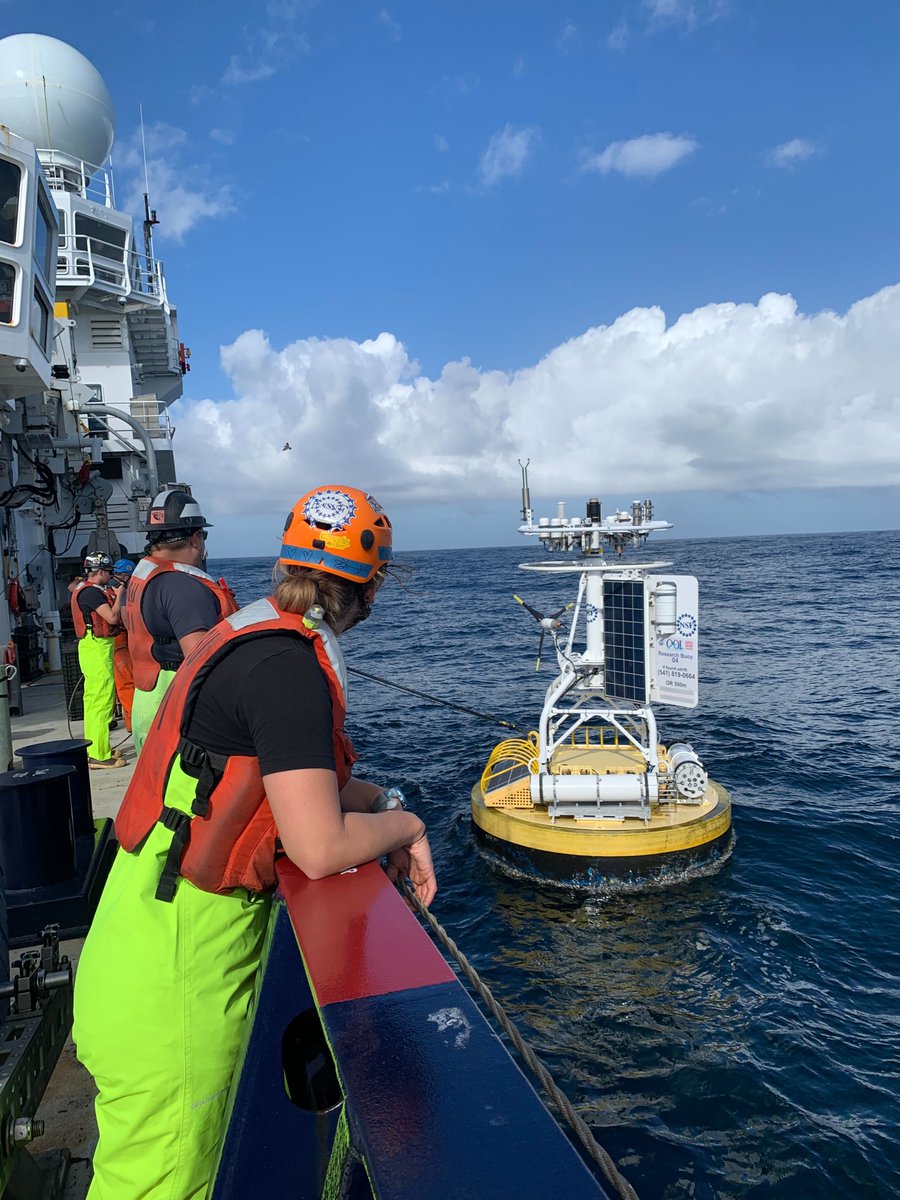 oceanobserv's tweet photo. 🌊 What should NSF consider as it plans for the future of ocean observing?

What should NSF know about why sustained ocean observations matter—and what else should be part of the conversation?

Responses due tomorrow, Sept. 30: https://t.co/EpVhw7tOMD

Photo: Maya Moran (OSU) https://t.co/x3OqpciDm8
