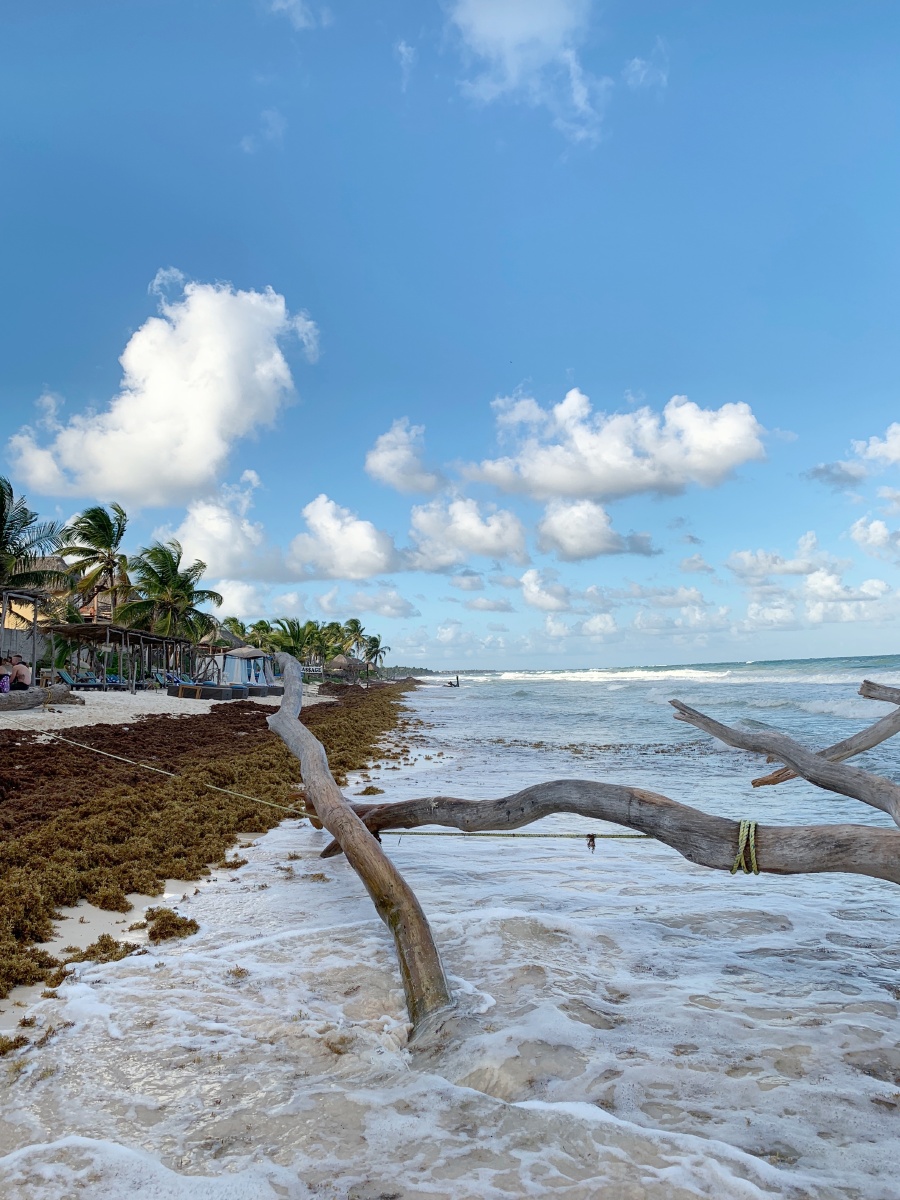 LaylaBellosv's tweet photo. Fin de semana mágico en la playa de Tulum! Sol, mar y vibes relajadas que curman el alma. No quiero irme nunca! https://t.co/s9WlVSP5OO